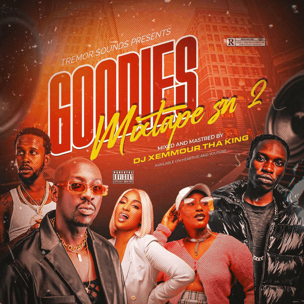 GOODIES MIXTAPE SN.2[DJ XEMMOUR]