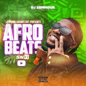 AFROBEATS MIXTAPE 2024||EXTRA PRESSURE ||TSHWALA BAM BAM||AWAY DAVIDO ||DJ XEMMOUR