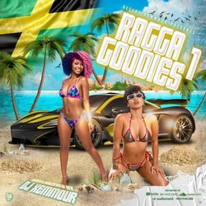 Cover image of 90'S DANCEHALL THROWBACK MIXTAPE || RAGGA GOODIES [DJ XEMMOUR]